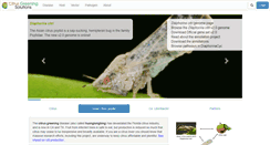 Desktop Screenshot of citrusgreening.org